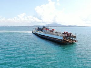 Jurus MIND ID Jaga Ekosistem Flora-Fauna Laut Lewat Program Berkelanjutan Jurus MIND ID Jaga Ekosistem Flora-Fauna Laut Lewat Program Berkelanjutan