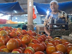 Harga Tomat Naik, Pedagang di Pasar Induk Mandalika Mengeluh Pembeli Sepi Harga Tomat Naik, Pedagang di Pasar Induk Mandalika Mengeluh Pembeli Sepi