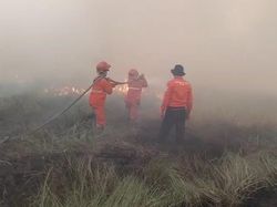 Karhutla di Sumsel Sudah Terjadi di 5 Wilayah, Ogan Ilir Terbanyak
