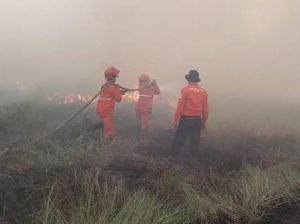 Karhutla di Sumsel Sudah Terjadi di 5 Wilayah, Ogan Ilir Terbanyak