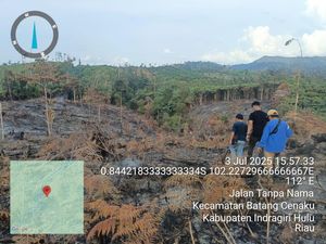 Polres Inhu Tangkap Pembakar 1 Ha Lahan di Dekat TN Bukit Tigapuluh