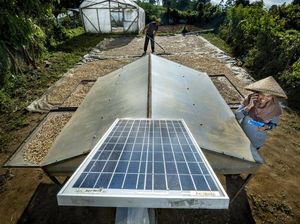 Wujudkan World Class Sustainable Banking Group, BRI Perkuat SDGs