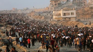 Pilu, Hampir 800 Warga Gaza Tewas Saat Cari Bantuan Makanan