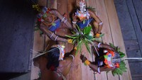Ritual Turuk Laggai Sikerei Mentawai demi Penyembuhan yang Bikin Merinding