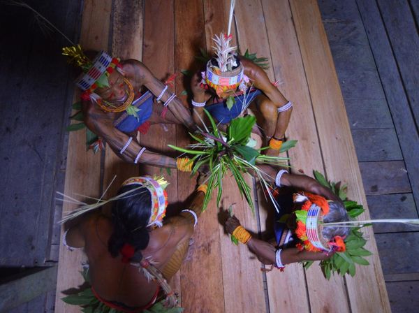 Ritual Turuk Laggai Sikerei Mentawai demi Penyembuhan yang Bikin Merinding
