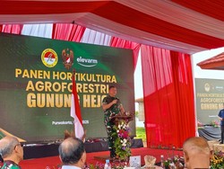 TNI AD Garap 200 Hektare Lahan untuk Agroforestri di Purwakarta 4 Bulan