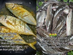 Ngakak! Wanita Ini Ogah Makan Ikan yang Wajahnya Jelek
