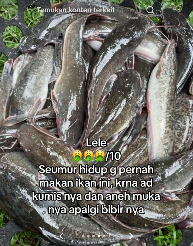 Ngakak! Wanita Ini Ogah Makan Ikan yang Wajahnya Jelek
