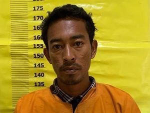 Yandi Ninja Buron Pencurian Sawit di Riau Ditangkap Usai Sebulan Kabur