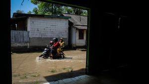 Luapan Sungai Cisadane Rendam Permukiman Warga di Tangerang