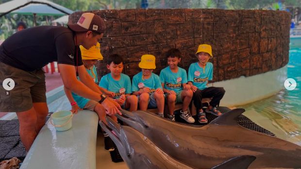 Behind The Scene Dolphin Education sebagai bagian dari acara 'Camping Under the Sea'.