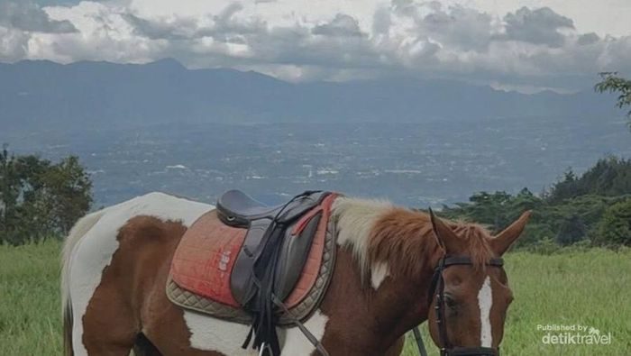 Video: Bojafarm & Farmstay, Wisata Edukasi-Nature Stay Dekat Gunung Salak