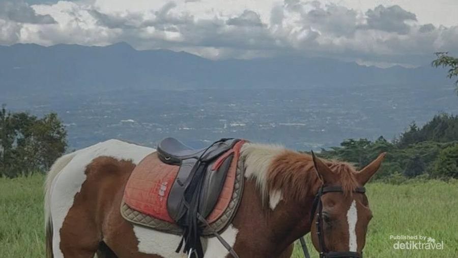Video: Bojafarm & Farmstay, Wisata Edukasi-Nature Stay Dekat Gunung Salak