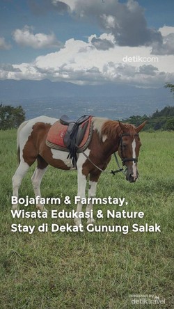 Video: Bojafarm & Farmstay, Wisata Edukasi-Nature Stay Dekat Gunung Salak