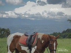 Video: Bojafarm & Farmstay, Wisata Edukasi-Nature Stay Dekat Gunung Salak