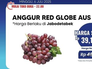 Anggur Red Globe Aus Lagi Diskon Gila-gilaan di Transmart Full Day Sale Anggur Red Globe Aus Lagi Diskon Gila-gilaan di Transmart Full Day Sale