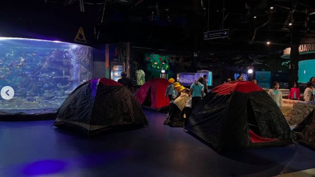 Menginap di dalam Sea World Indonesia dalam acara 'Camping Under the Sea'