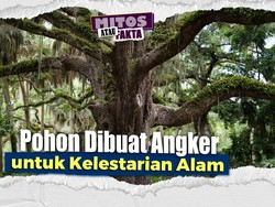 Mitos atau Fakta: Mengkeramatkan Pohon untuk Jaga Ekosistem Alam?