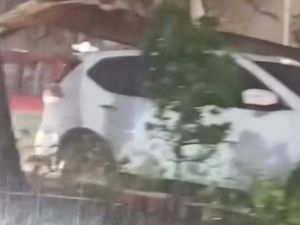 Pohon Tumbang di Depan Kantor Walkot Medan Timpa Mobil Pohon Tumbang di Depan Kantor Walkot Medan Timpa Mobil