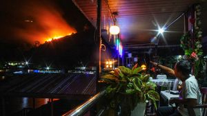 Api Melahap Perbukitan Tongging Karo Sumatera Utara