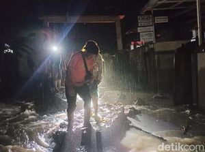 Dampak Hujan Deras di Tabanan, Rumah Terendam hingga Pohon Tumbang