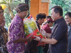 Subak dan Kelompok Tani di Buleleng Dapat Bantuan 47 Ton Benih Padi-Jagung