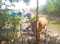 RTH Makassar Baru 12,42%, Pemkot Sulit Penuhi Target 30% karena Lahan Minim