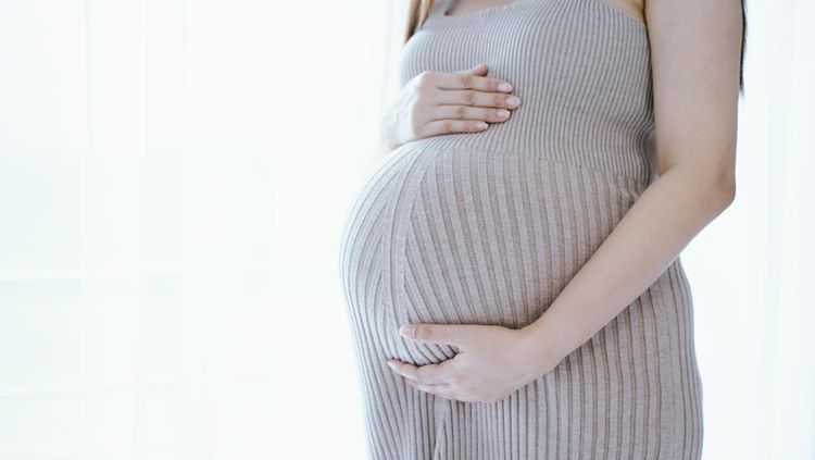 Viralnya Sewa Rahim: Netizen Terbelah Bahas Tren Kontroversial