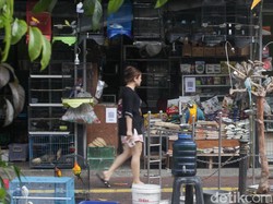 Jerit Pedagang Pasar Barito: Utang Belum Lunas, Dagangan Sepi