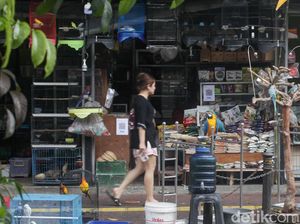 Jerit Pedagang Pasar Barito: Utang Belum Lunas, Dagangan Sepi Jerit Pedagang Pasar Barito: Utang Belum Lunas, Dagangan Sepi