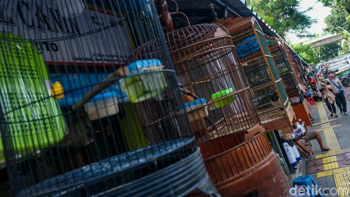 Warga berkeliling menyaksikan burung yang dijual di Pasar Barito, Jaksel, Senin (7/7/2025). Pedagang burung di Barito akan direlokasi ke Lenteng Agung imbas penyatuan Taman ASEAN.