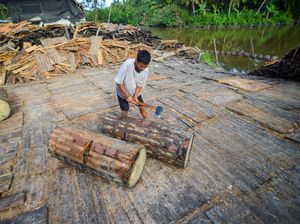 Menjaga Tradisi Sagu Mentawai di Tengah Arus Modernisasi Menjaga Tradisi Sagu Mentawai di Tengah Arus Modernisasi