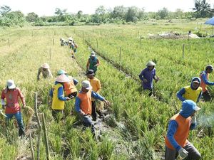 Ketahanan Pangan Ala Kemenimipas Hasilkan 159 Ton Padi-Uang Premi untuk Napi