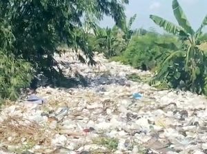 Miris! Aliran Irigasi Pertanian di Karawang Dipenuhi Sampah Miris! Aliran Irigasi Pertanian di Karawang Dipenuhi Sampah