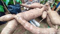 Pameran Pertanian Serba Ukuran XL di Ciamis