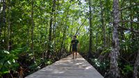 Hijau Mangrove Mentawai, Harapan Baru Wisata Berkelanjutan