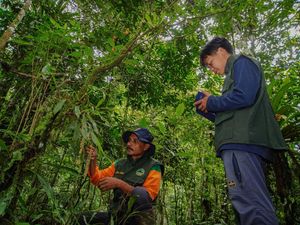 Hari Konservasi Alam Sedunia 28 Juli: Tujuan dan Cara Merayakan Hari Konservasi Alam Sedunia 28 Juli: Tujuan dan Cara Merayakan