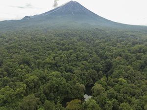 Video Evakuasi 24 Mahasiswa KKN Unand-Perangkat Desa yang Tersesat di Hutan Video Evakuasi 24 Mahasiswa KKN Unand-Perangkat Desa yang Tersesat di Hutan