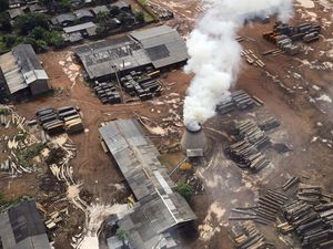 Ngerinya Hutan Amazon yang Diprediksi Masuk Iklim Hipertropis, Bakal Membara?