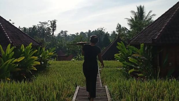 Penginapan tepi sawah Ubud Sawah Scenery Vila and Homestay di Bali