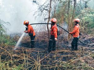 20 Personel PT Arara Abadi Berjibaku Siang-Malam Padamkan Karhutla di Siak 20 Personel PT Arara Abadi Berjibaku Siang-Malam Padamkan Karhutla di Siak