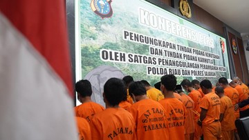 46 Tersangka Kasus Kejahatan Hutan di Riau Dijerat: Mayoritas Pemilik Lahan