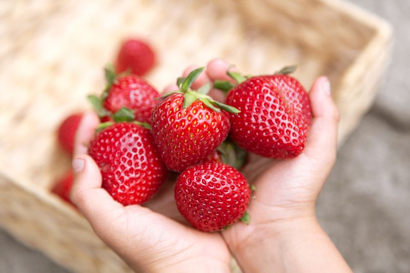 Makan Strawberry dan Kandungan Manfaatny