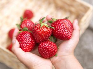 10 Buah untuk Melancarkan BAB yang Efektif, Anti Sembelit!