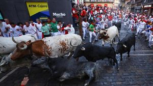 Tradisi San Fermin, Kejar-kejaran Seru dengan Banteng di Spanyol