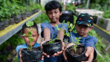 Edukasi Urban Farming, Anak-anak Belajar Tanam Seledri