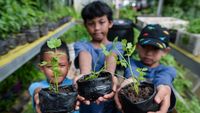 Edukasi Urban Farming, Anak-anak Belajar Tanam Seledri