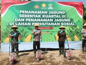 Kapolda Bali Tanam Jagung di Asrama Polisi Abian Timbul Denpasar Kapolda Bali Tanam Jagung di Asrama Polisi Abian Timbul Denpasar