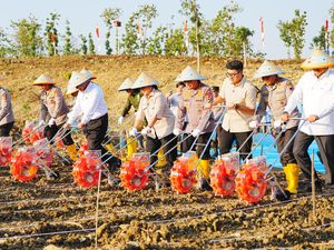 Lagi! Kapolri Tanam Jagung Serentak untuk Dukung Swasembada Pangan