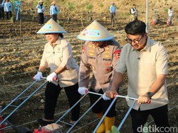 Dukung Swasembada Pangan, Polri Target Tanam Jagung 1 Juta Hektare Lahan
